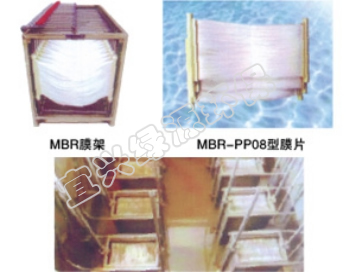 MBR-PPϵ��Ĥ���ﷴӦ��ר��ĤƬ